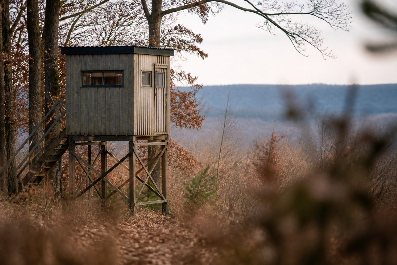 A custom-built hunting shed in a rustic outdoor setting, blending with nature.
